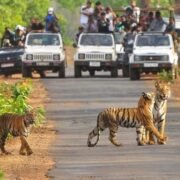 One-Day trip from Delhi