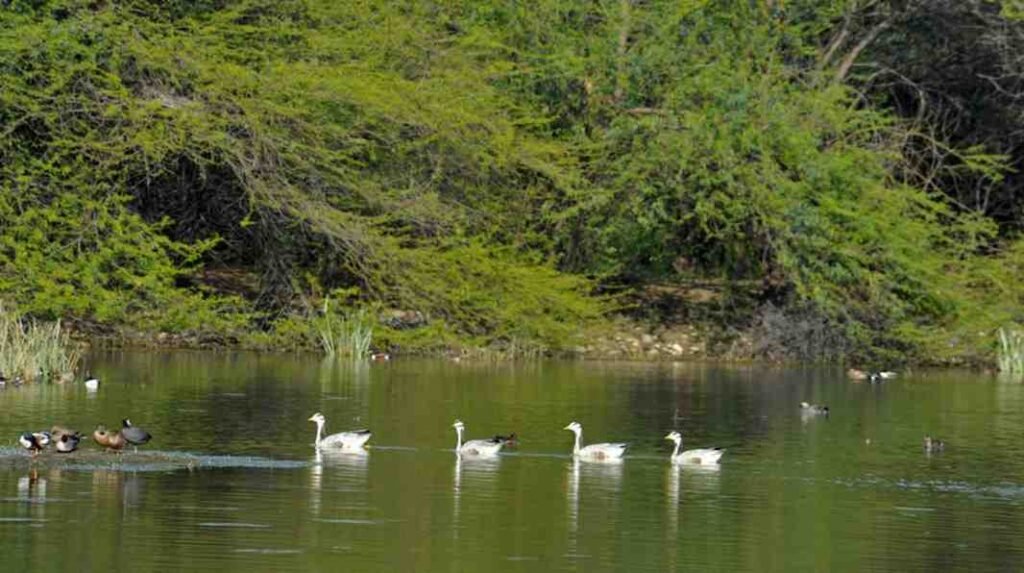 Bird Watching Destinations