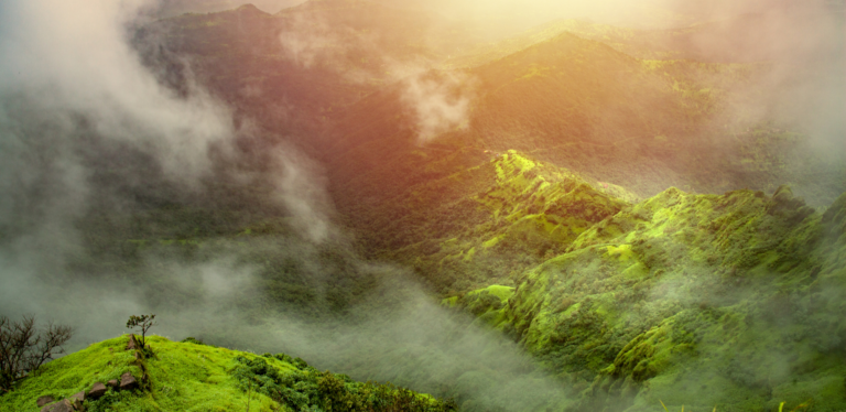 10 Best places to travel in India with family