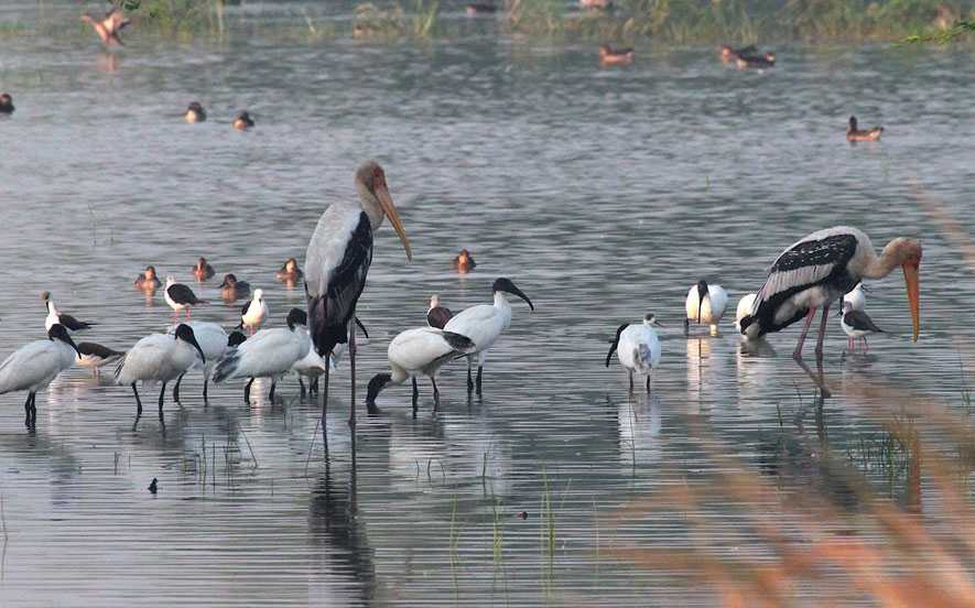 Places to Visit Near Delhi in One Day
