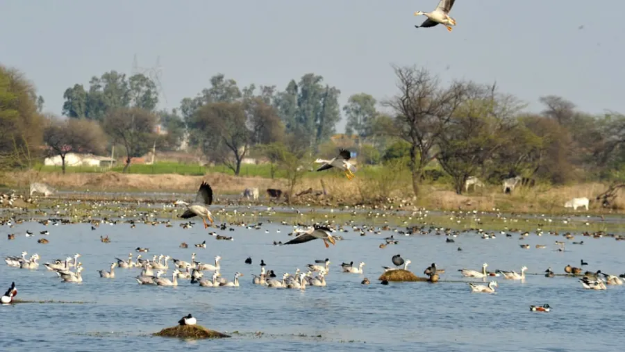places to visit near Delhi in one day
