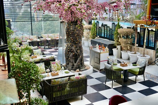 Best Restaurants